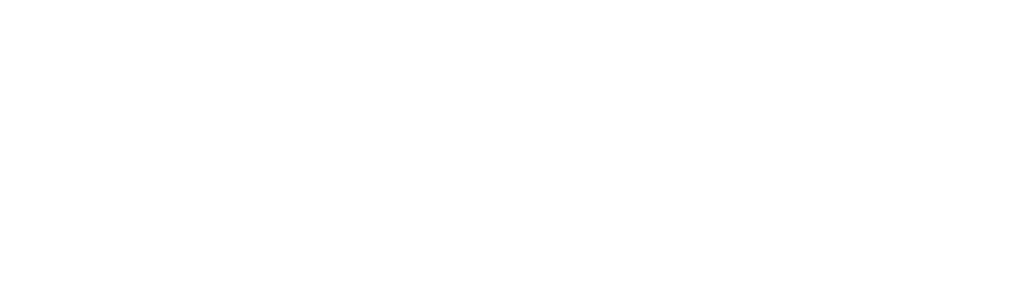 BS Protection